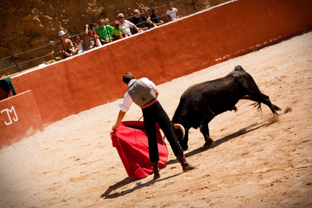 un homme, une cape et un taureau