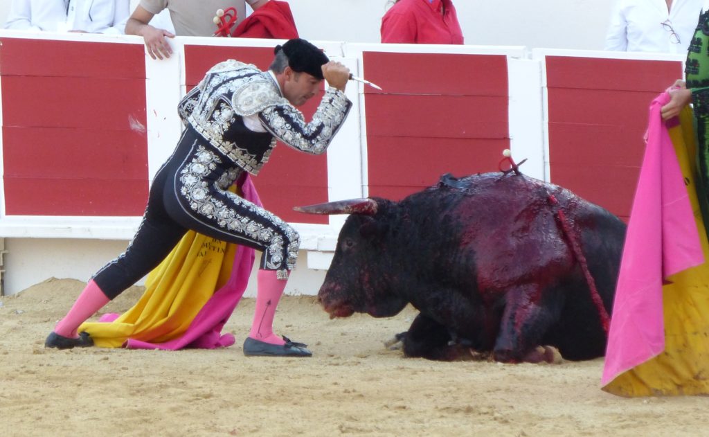 un homme qui tue un taureau