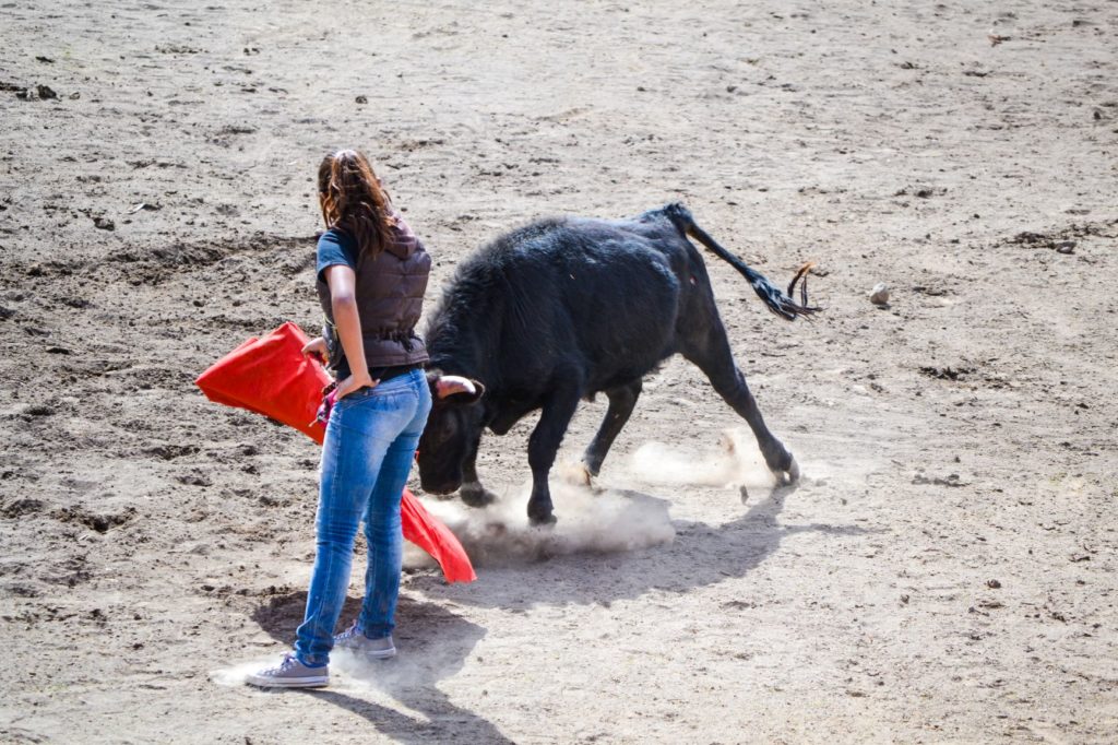 ene adolescente face à une vache