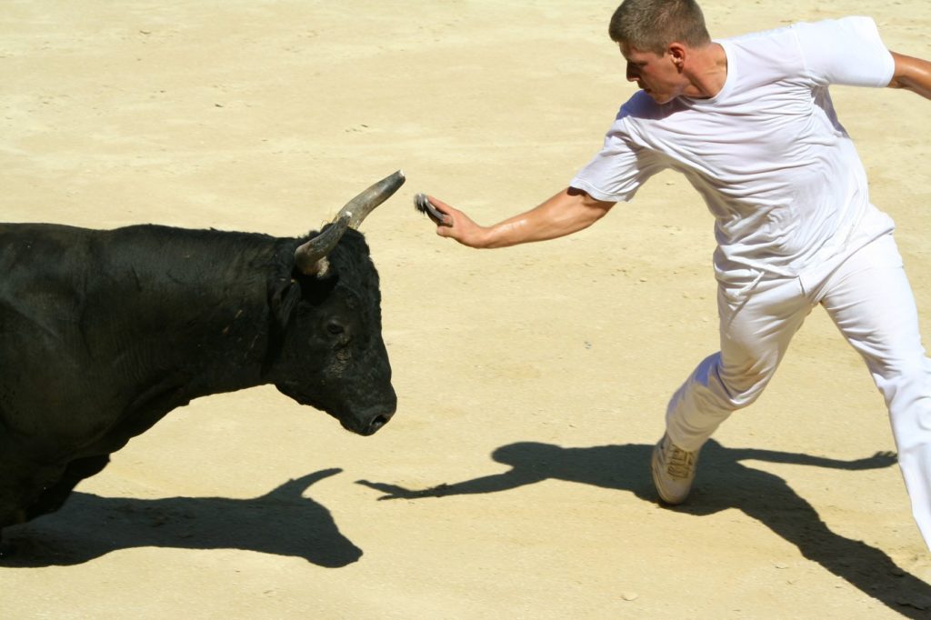 un homme et un taureau