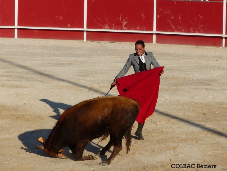 une femme une cape et une vache