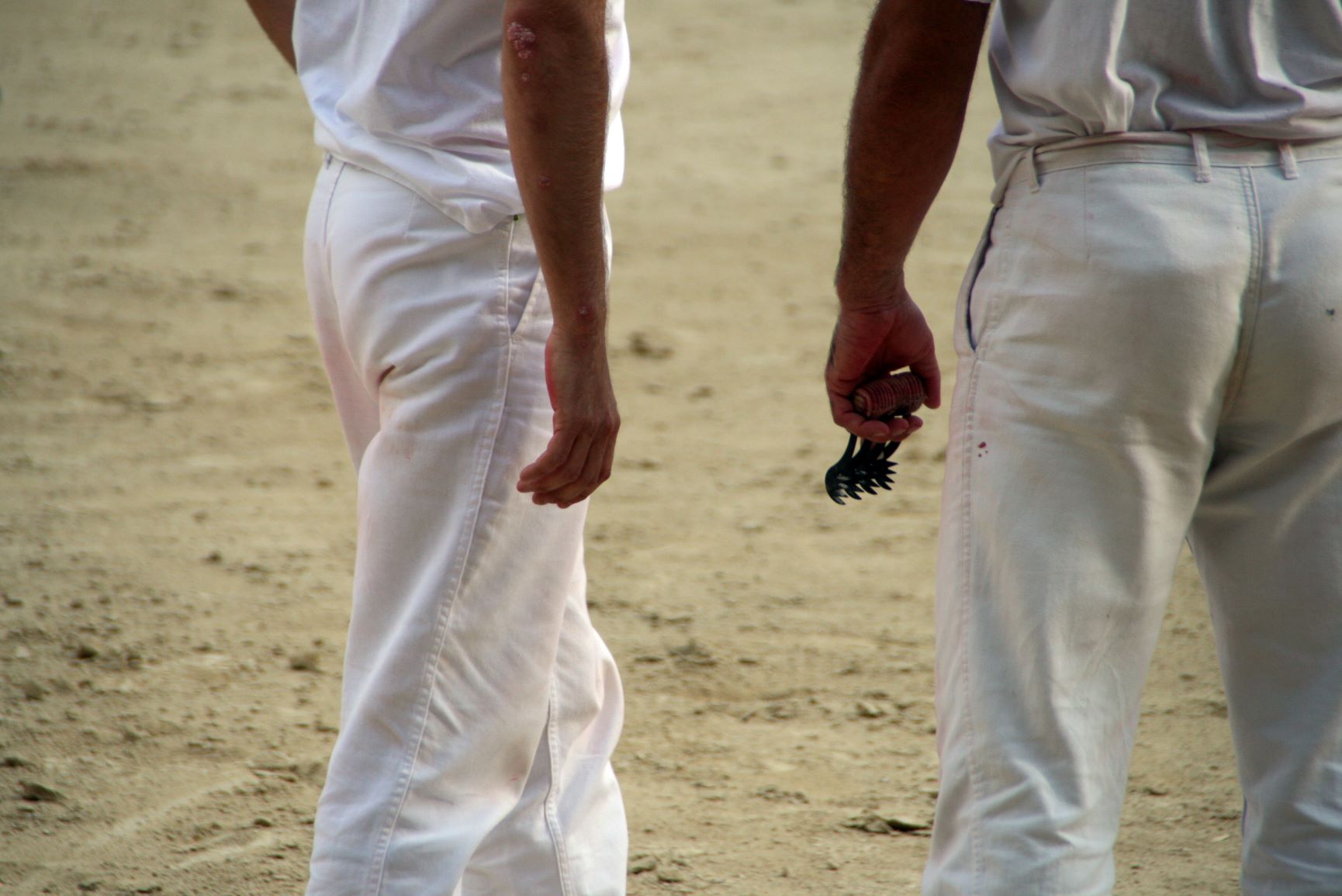 La course camarguaise Colbac