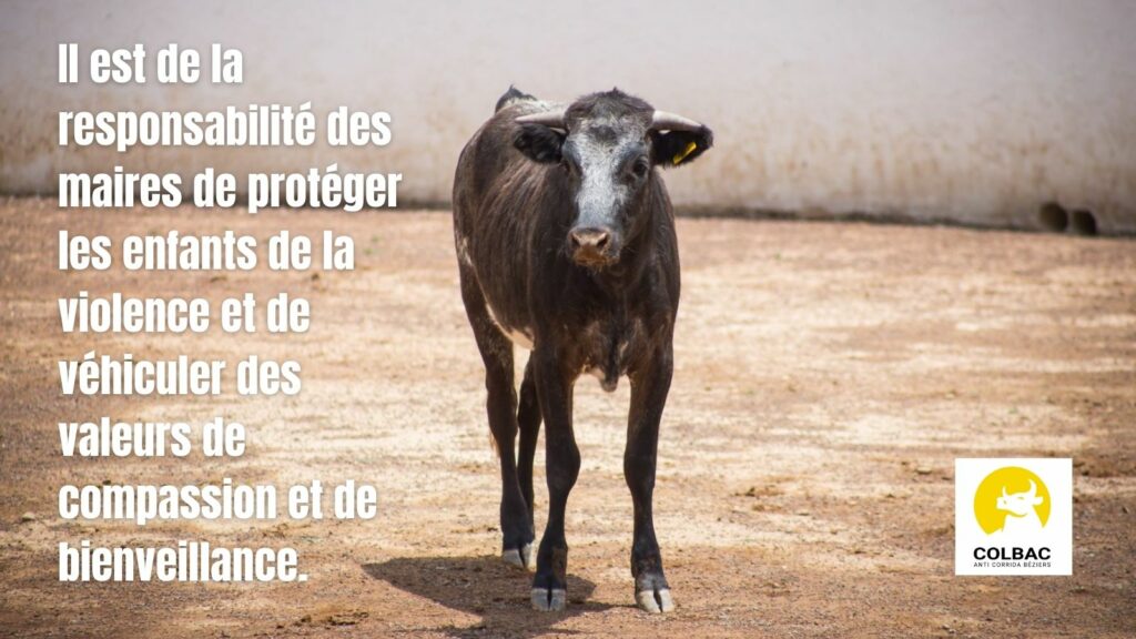 un jeune taureau