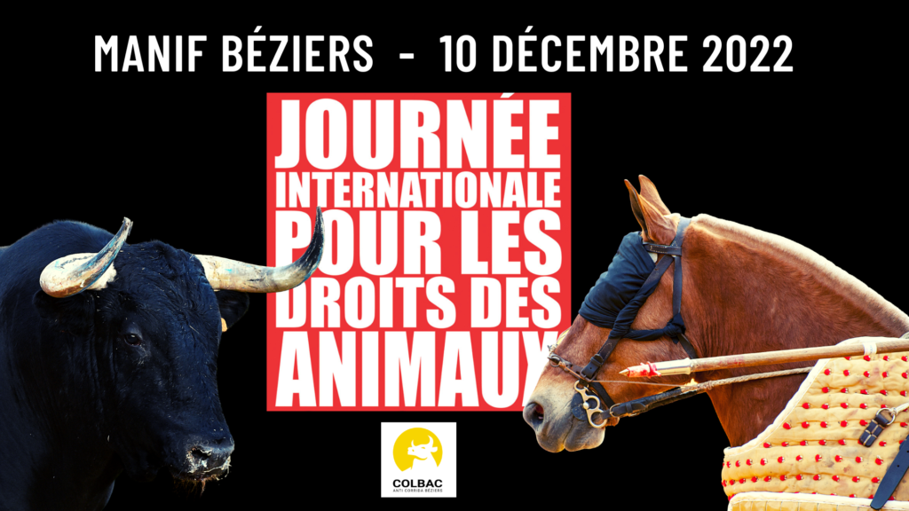 Journée internationale des droits des animaux - Stop Corrida ! - Colbac