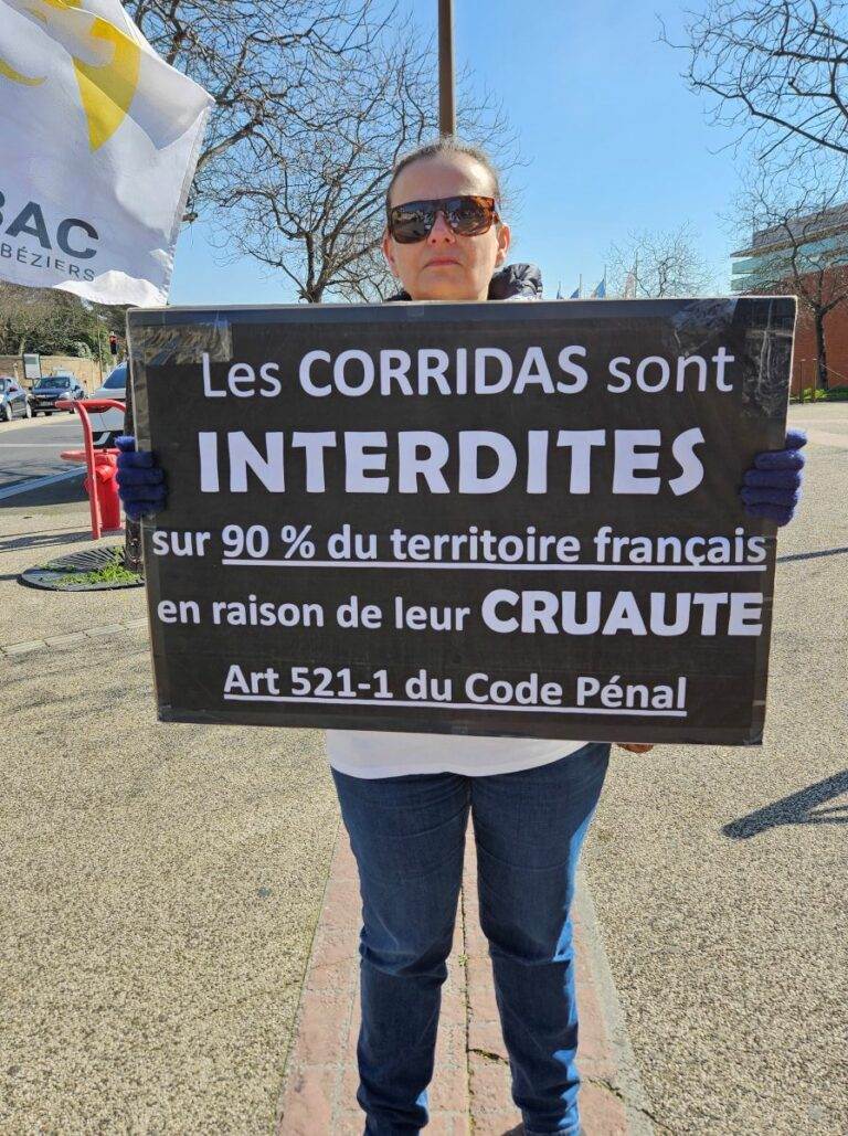 20250315_manifestation contre les entrainements_Parejo_Dans l'intimité d'un torero (12)