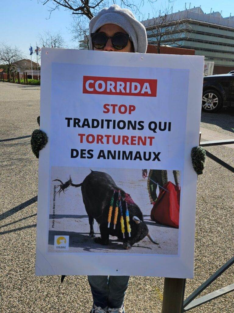 20250315_manifestation contre les entrainements_Parejo_Dans l'intimité d'un torero (13)