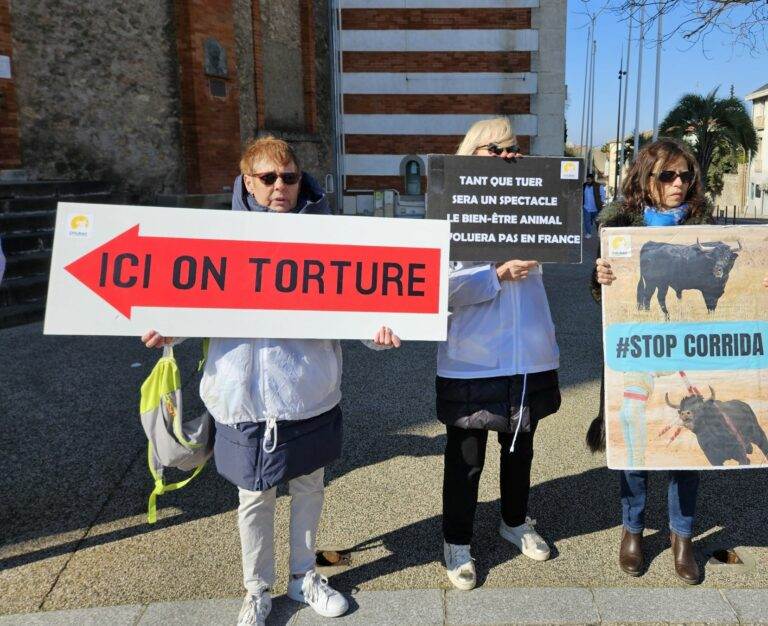 20250315_manifestation contre les entrainements_Parejo_Dans l'intimité d'un torero (4)