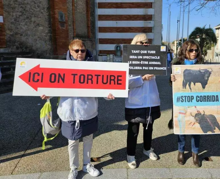 20250315_manifestation contre les entrainements_Parejo_Dans l'intimité d'un torero (4)