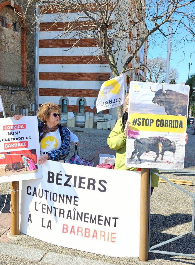 20250315_manifestation contre les entrainements_Parejo_Dans l'intimité d'un torero (5)