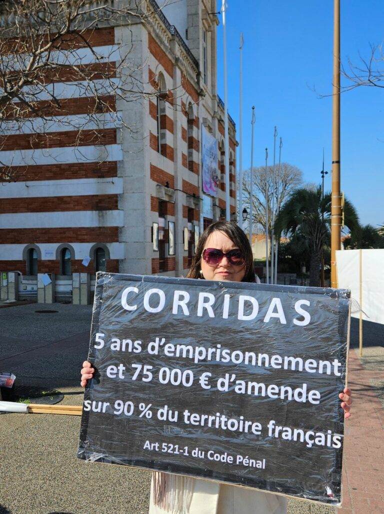 20250315_manifestation contre les entrainements_Parejo_Dans l'intimité d'un torero (6)