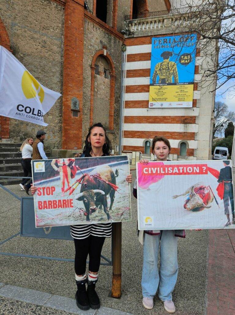 Reduites_manif_parejo_12 avril 2025_20250412 (11)