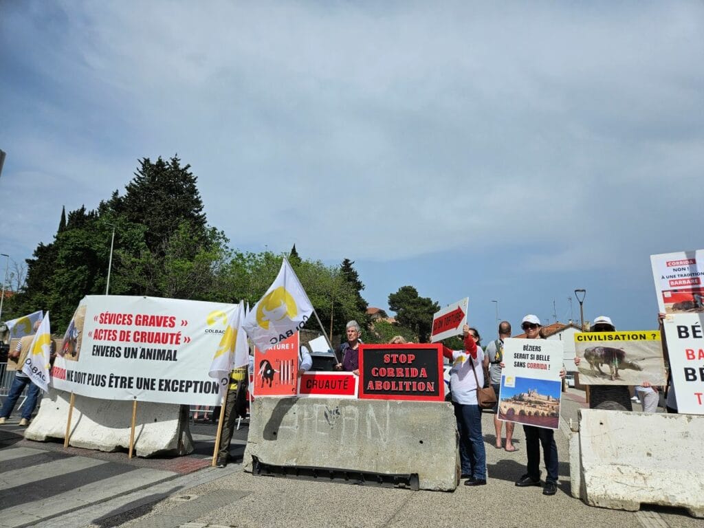 20250503_feria off_manifestation (3)