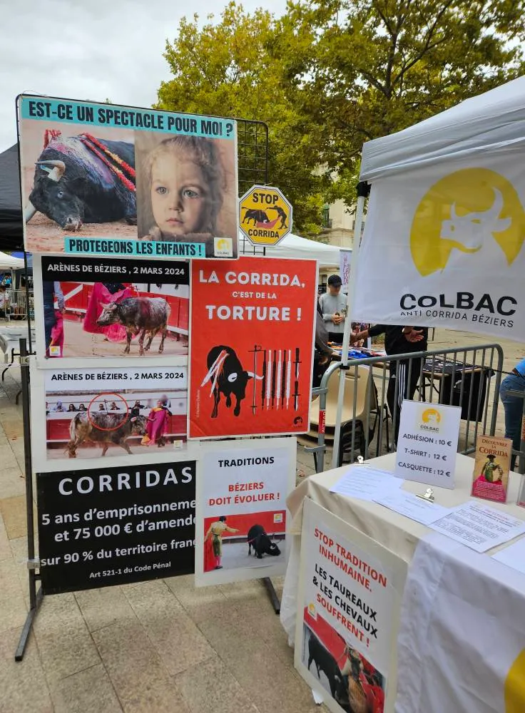 20250913_Foire des associations_13 septembre 2025 (1)