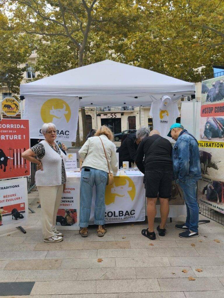 20250913_Foire des associations_13 septembre 2025 (10)