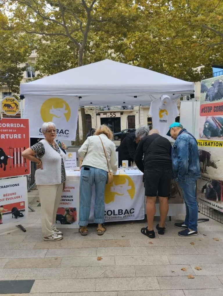 20250913_Foire des associations_13 septembre 2025 (10)