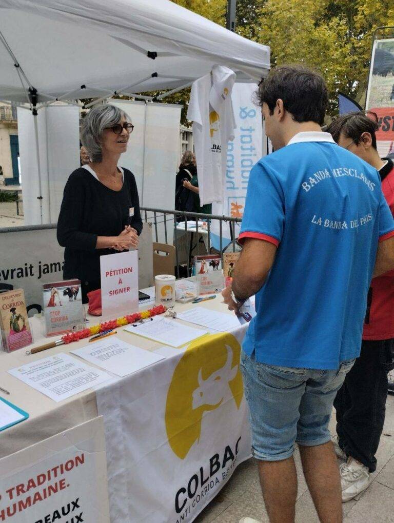 20250913_Foire des associations_13 septembre 2025 (4)