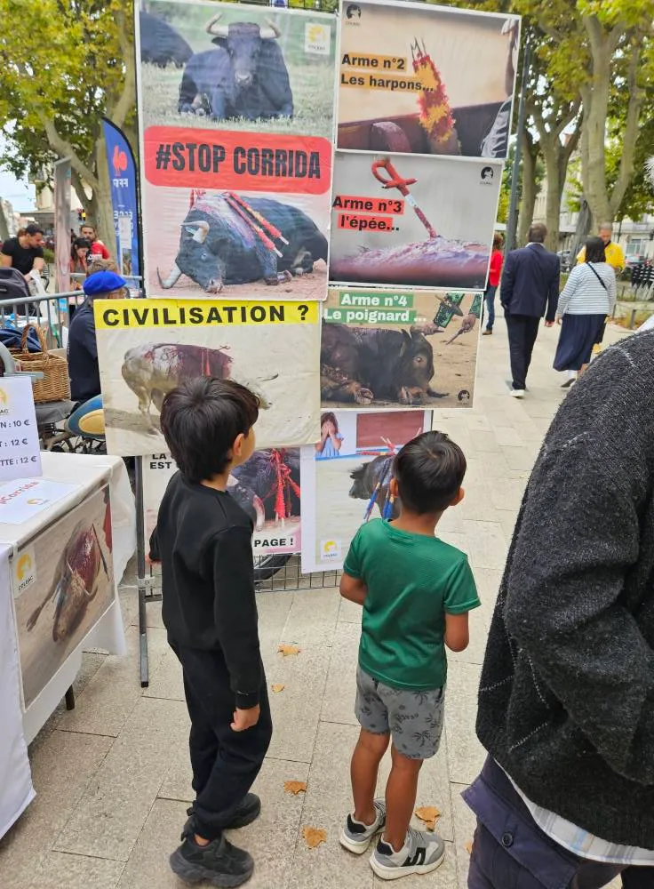 20250913_Foire des associations_13 septembre 2025 (5)