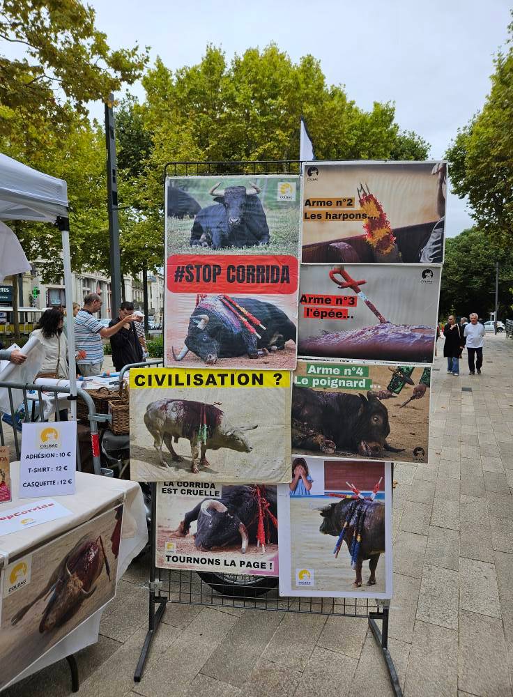 20250913_Foire des associations_13 septembre 2025 (8)