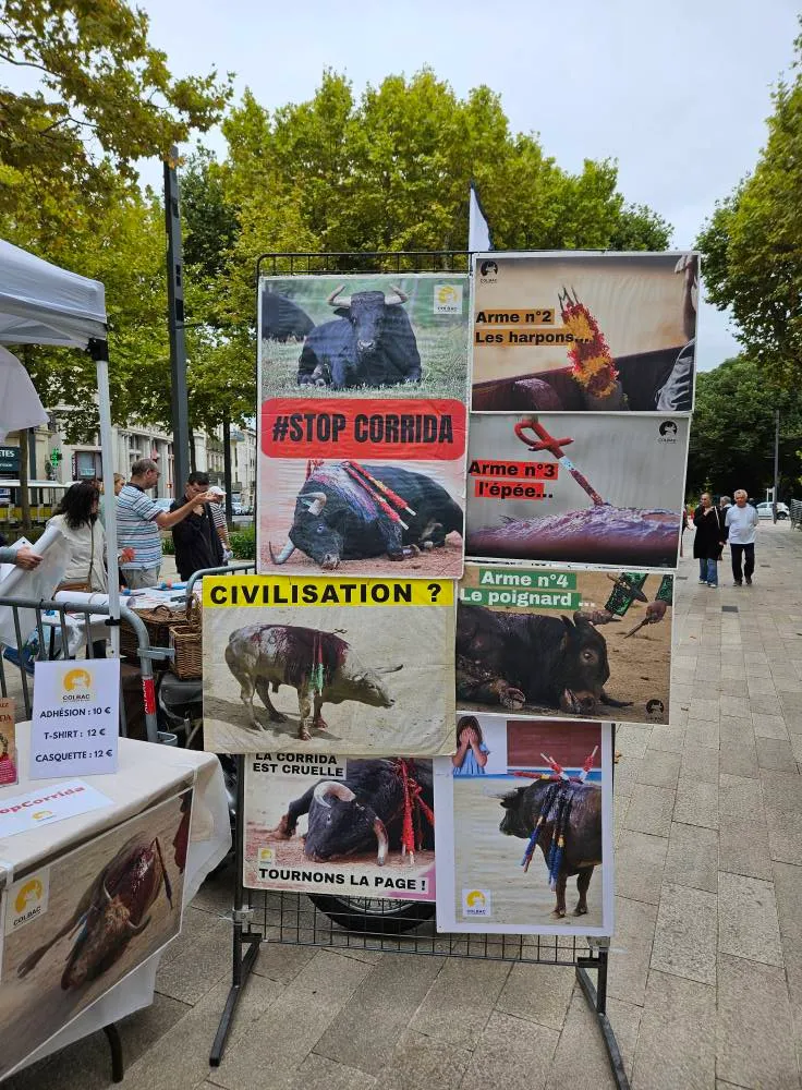 20250913_Foire des associations_13 septembre 2025 (8)