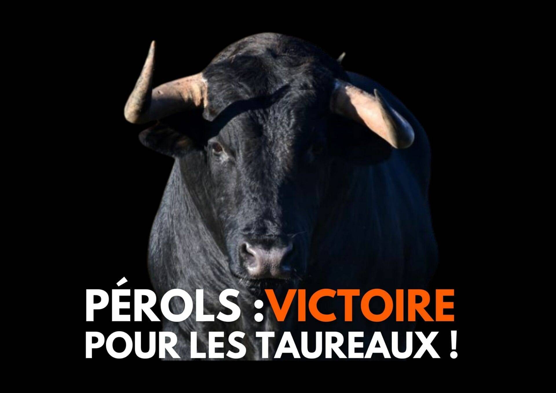 Pérols : la justice interdit définitivement la corrida - Colbac