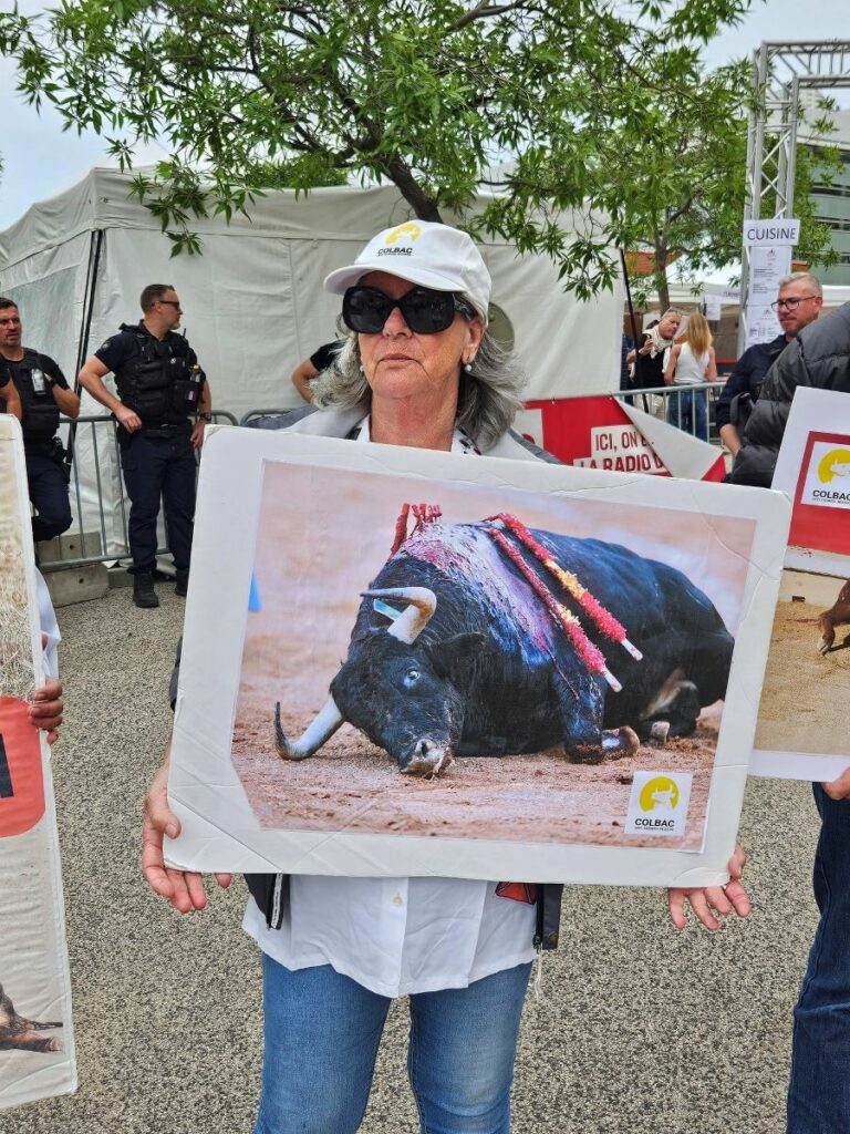 Feria OFF manif 2 9 mai 2026 (14)