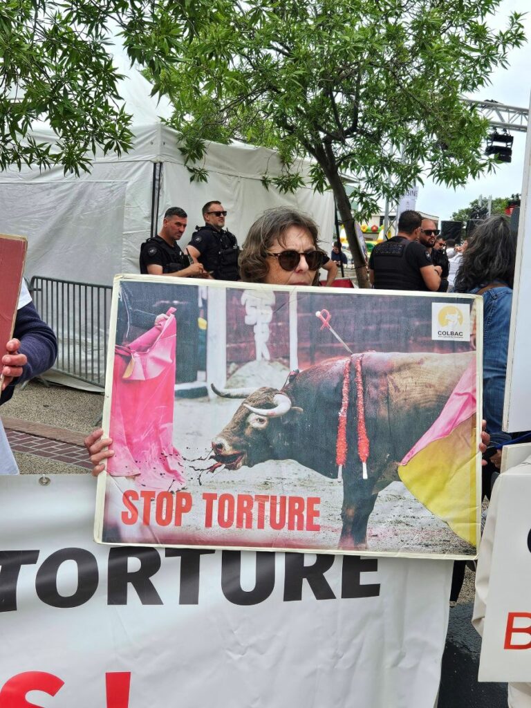 Feria OFF manif 2 9 mai 2026 (27)