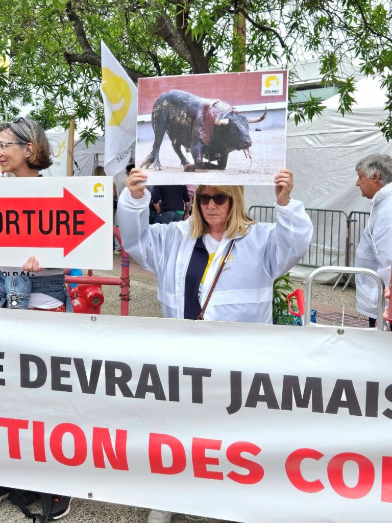 Feria OFF manif 2 9 mai 2026 (28)