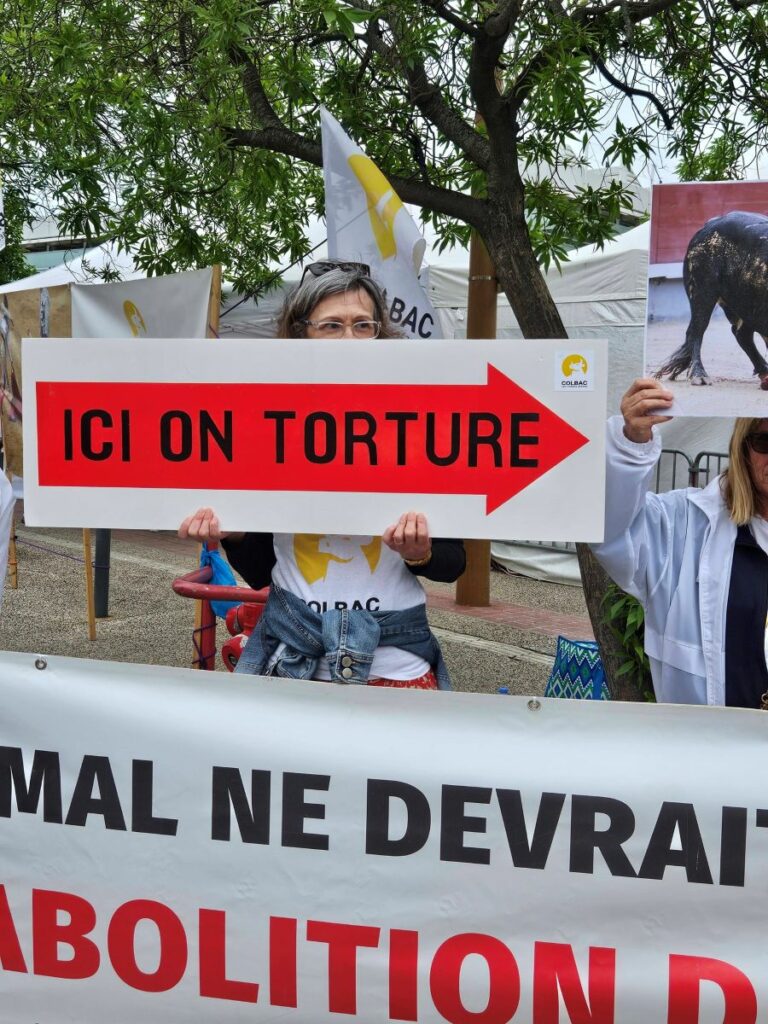 Feria OFF manif 2 9 mai 2026 (3)