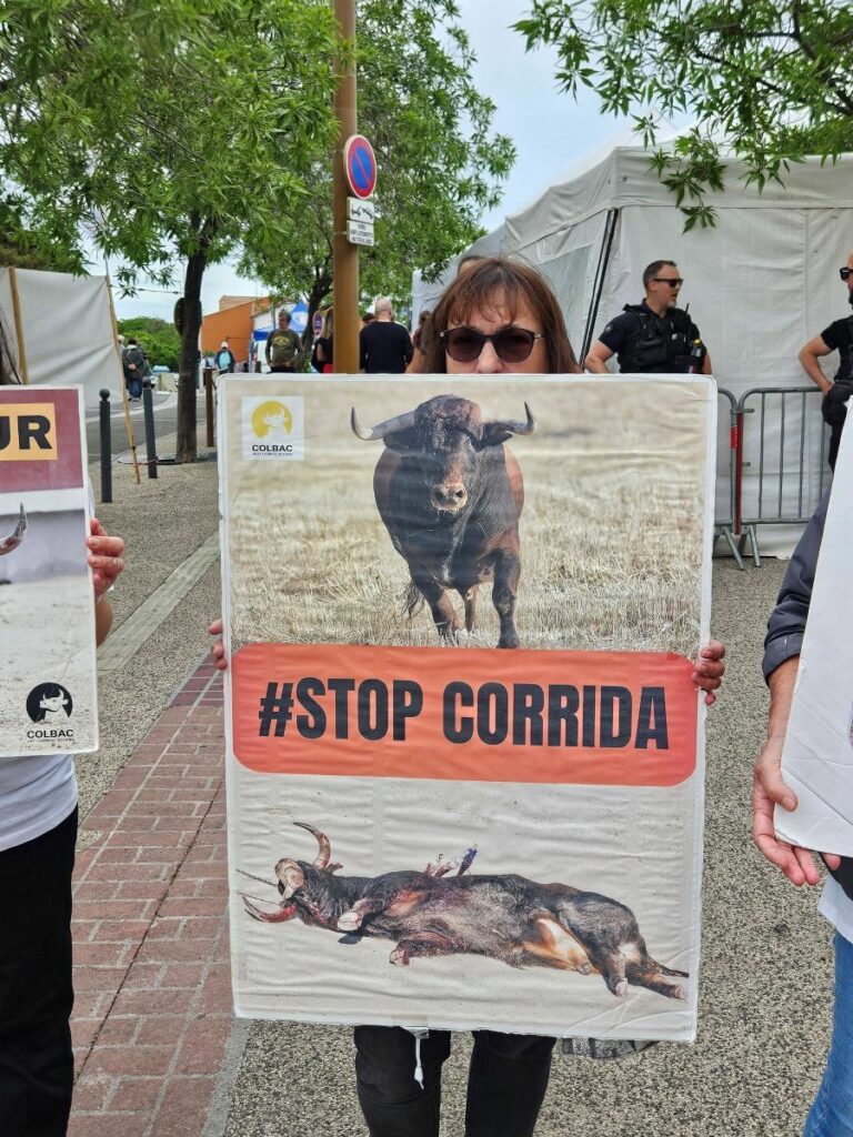 Feria OFF manif 2 9 mai 2026 (5)