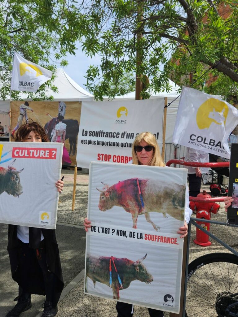 Feria_OFF_manif1_8 mai 2026 (7)