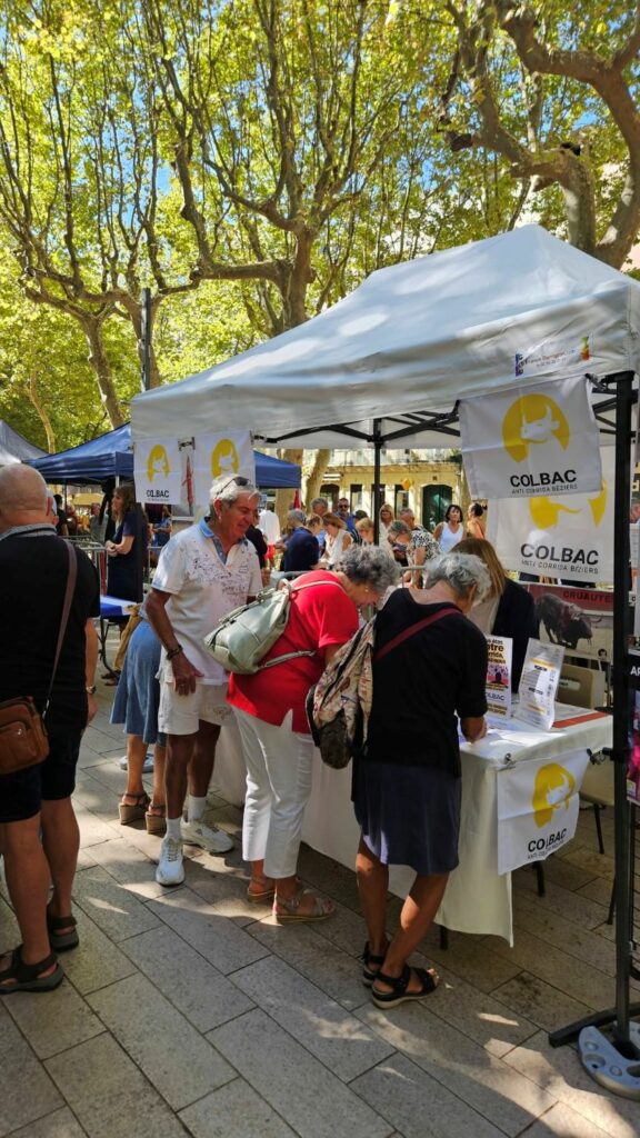 Foire des associations_Les associations font les allées 12 septembre 2026 (2)