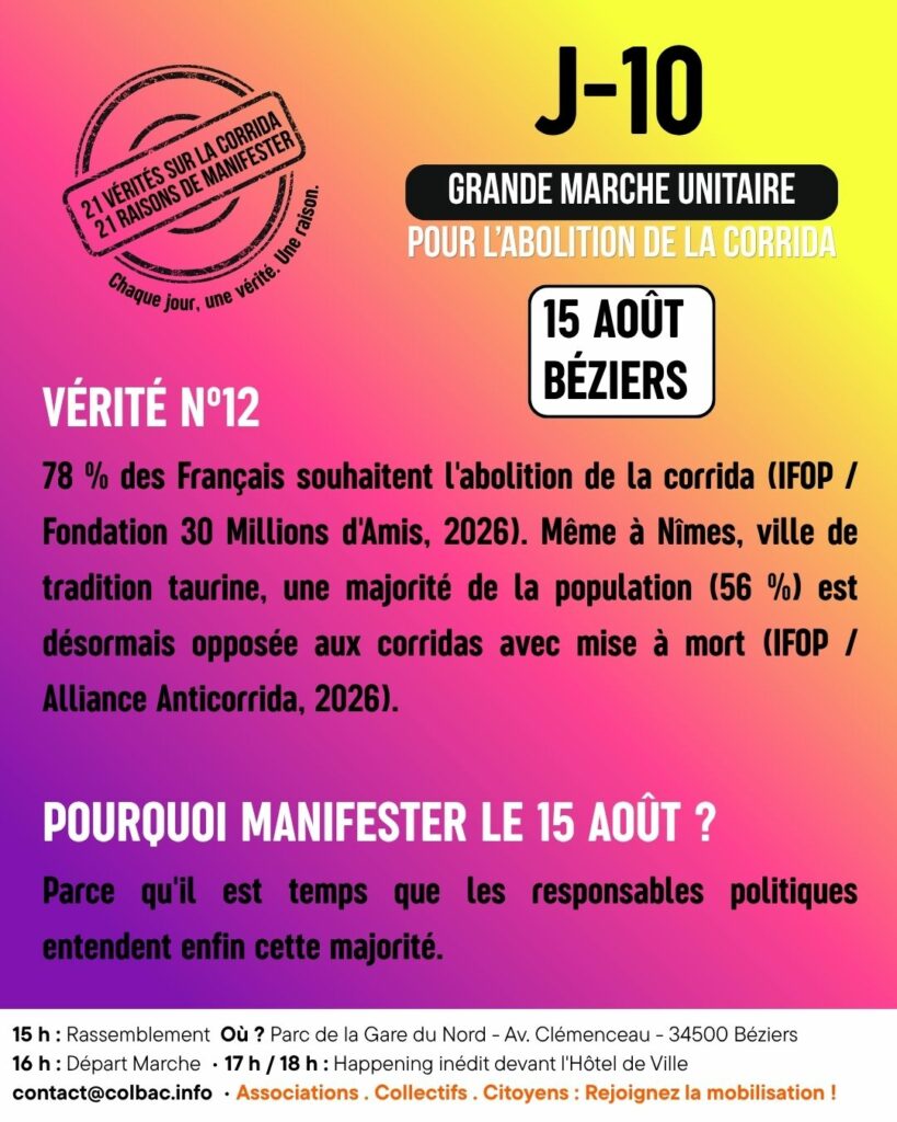J-10
