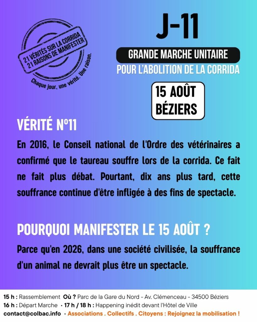 J-11