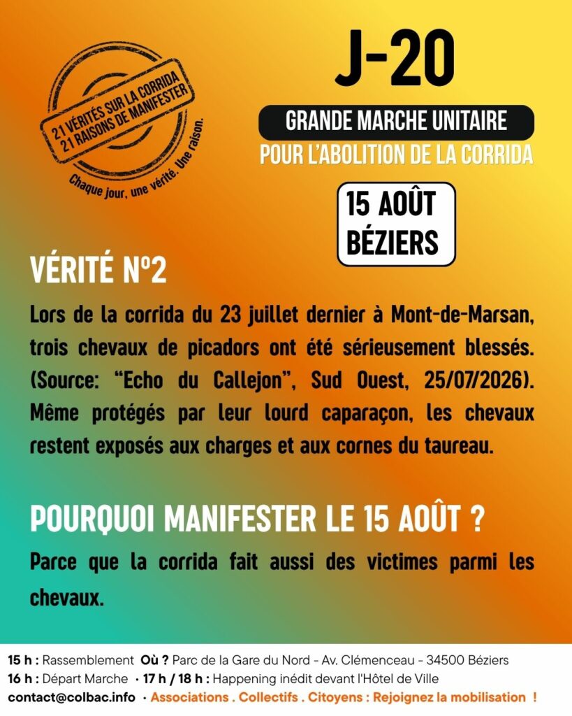 J-20
