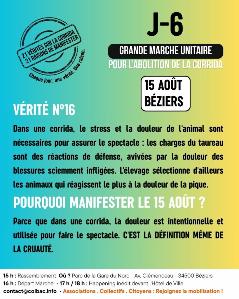 J-6