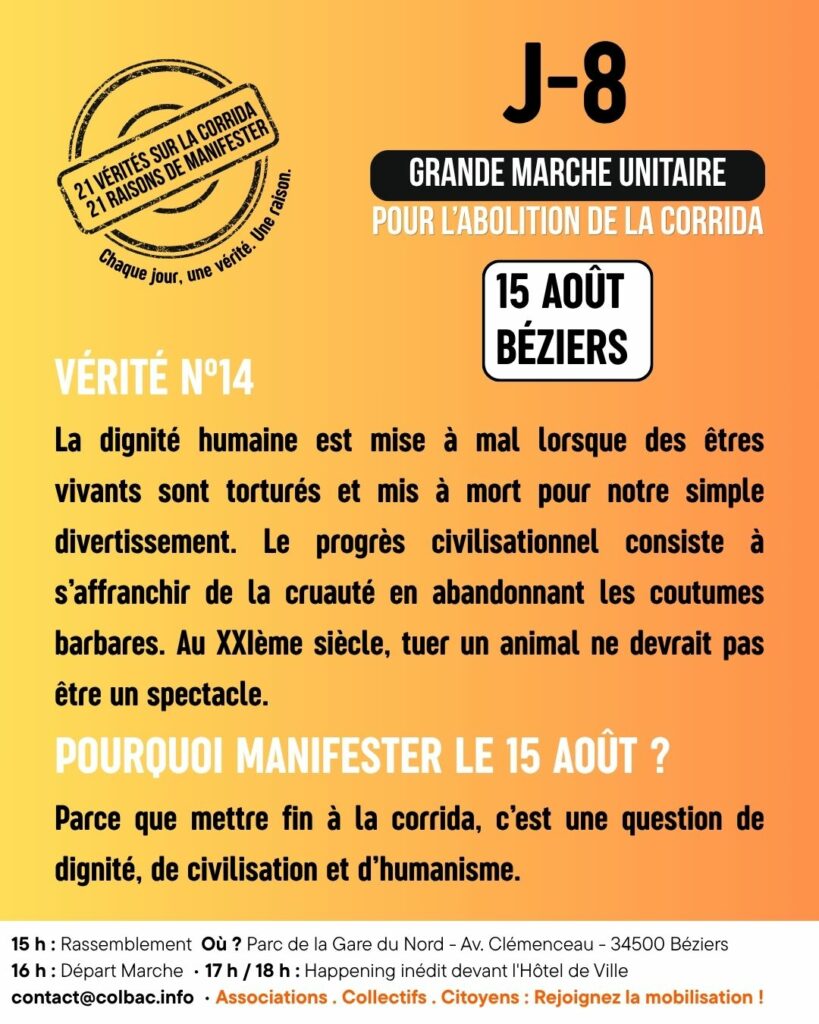 J-8